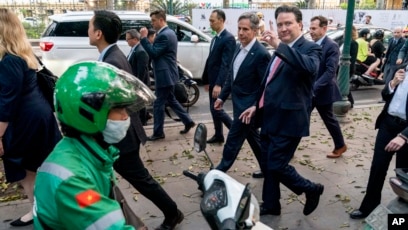 Có Nên Trồng Cây Đàn Hương: Phân Tích Cơ Hội Kinh Tế và Kỹ Thuật Canh Tác