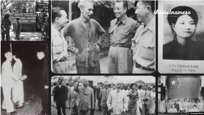 Cách Chăm Cây Kim Phát Tài Từ A Đến Z: Kỹ Thuật Chuyên Sâu Của Chuyên Gia