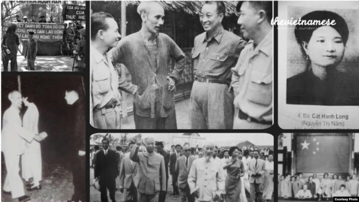 Cách Chăm Sóc Và Bón Phân Cho Cây Mai Vàng Theo Từng Giai Đoạn Phát Triển Chuyên Sâu