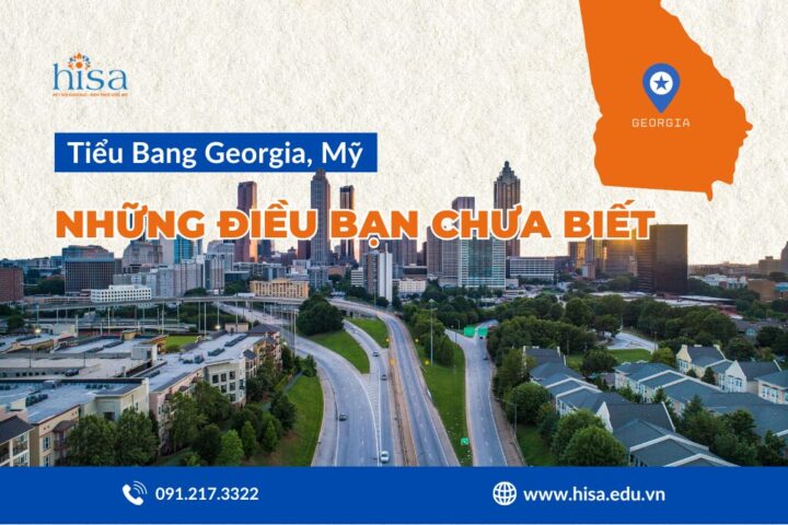 Nên Trồng Cây Gì Ở Ban Công Chung Cư: Hướng Dẫn Chi Tiết Từ Chuyên Gia