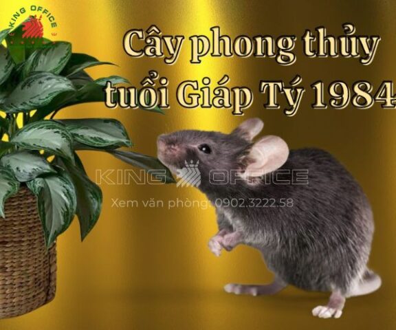 Tuổi Giáp Tý Nên Trồng Cây Gì: Giải Mã Phong Thủy Kim Thu Hút Tài Lộc
