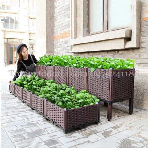 Cách Làm Chậu Trồng Cây Thông Minh: Hướng Dẫn Chi Tiết Và Toàn Diện