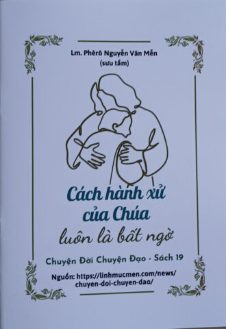 Cách Trồng Cây Sắn Thuyền Hiệu Quả Và Bí Quyết Chăm Sóc Chuyên Sâu