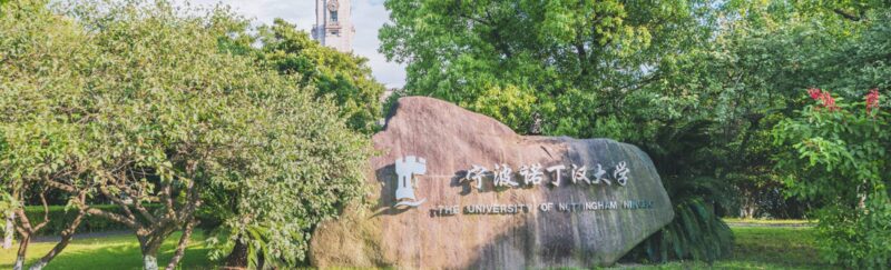 Kỹ Thuật Toàn Diện Về Cách Trồng Hoa Mẫu Đơn Thân Gỗ Đạt Chuẩn Chuyên Gia