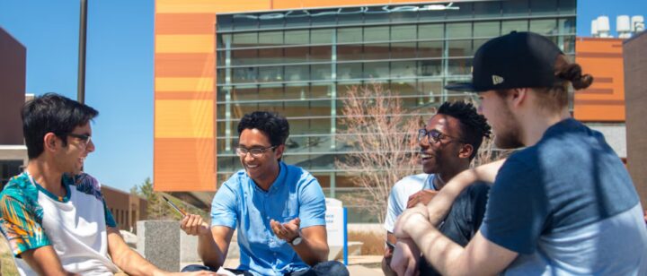 Kỹ Thuật Toàn Diện Về Cách Chăm Sóc Hoa Mặt Trời Phát Triển Khỏe Mạnh