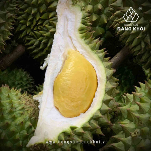 Nên Trồng Cây Gì Sau Nhà Hợp Phong Thủy Và Thu Hút Tài Lộc