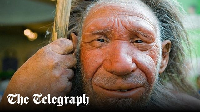 Cách Chăm Cà Chua Khi Ra Hoa Đúng Kỹ Thuật Giúp Tăng Năng Suất Vượt Trội