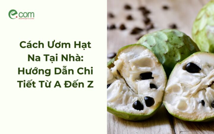 Cách Trồng Cây Thuốc Nam Hiệu Quả Tại Nhà: Hướng Dẫn Chi Tiết Từ A Đến Z