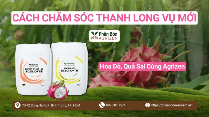 Cách Chăm Sóc Cho Lan Ra Hoa: Hướng Dẫn Kỹ Thuật Toàn Diện