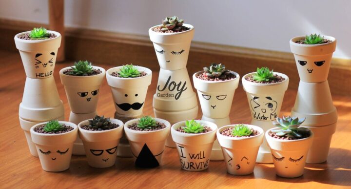 Cách Trồng Cây Sen Đất Chi Tiết Từ A Đến Z: Hướng Dẫn Kỹ Thuật Chuyên Sâu