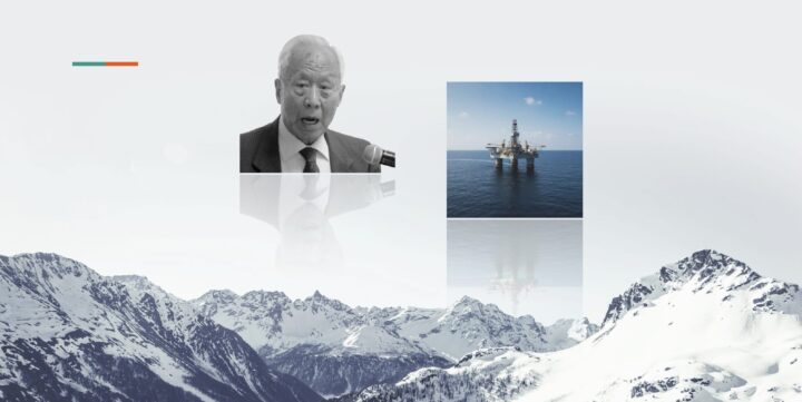 Cách Chăm Cây Mai Bị Suy Phục Hồi Nhanh Chóng Sau Tết