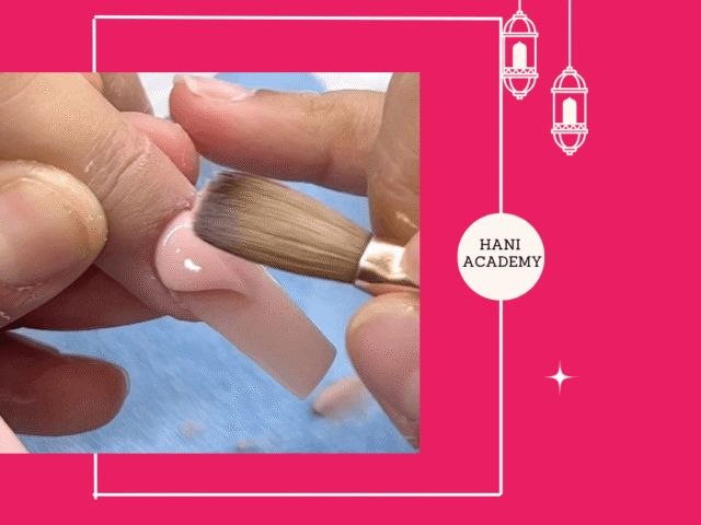 Cách Chăm Sóc Cây Dạ Minh Châu Chi Tiết Đúng Kỹ Thuật Tại Nhà