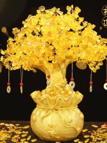 Cách Chăm Sóc Cây Kim Tiền Bị Vàng Lá Hiệu Quả Từ Chuyên Gia Bonsai