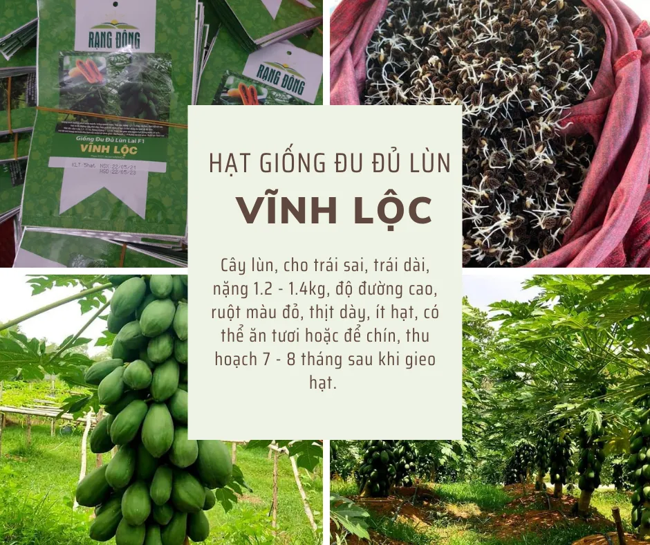 A picture containing text, tree, outdoor, vegetable Description automatically generated