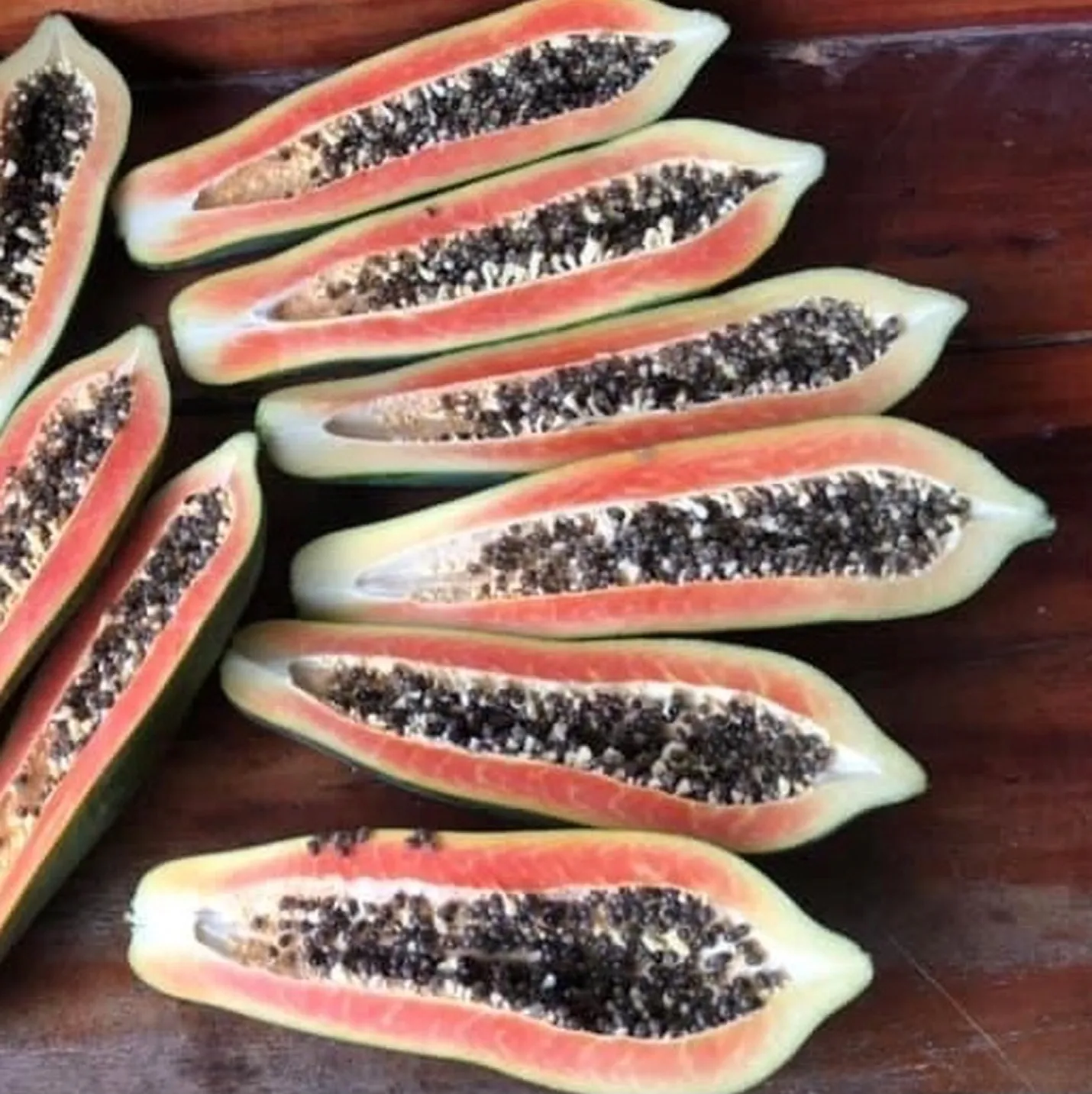 A picture containing vegetable Description automatically generated