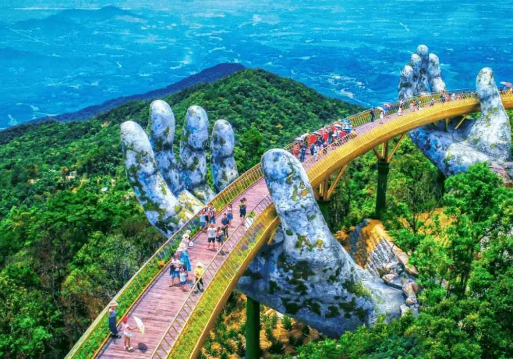 Ánh sáng phù hợp giúp dâu tây phát triển cuống hoa và quả tốt hơn