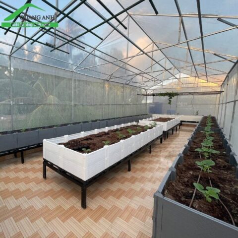 Cách Làm Chậu Trồng Cây Thông Minh: Hướng Dẫn Chi Tiết Và Toàn Diện