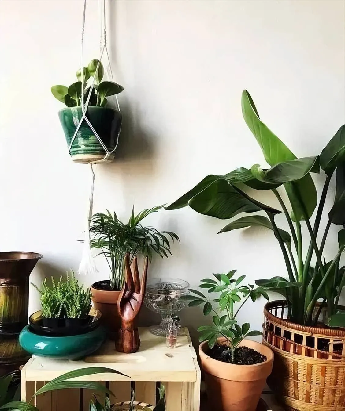 Bàn bếp hoặc bàn làm việc được trang trí bằng một chậu cây cảnh lá tròn, phù hợp với phong cách nội thất cổ điển.