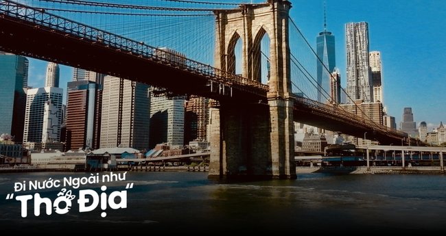 Nên Trồng Cây Gì Ở Ban Công Chung Cư: Hướng Dẫn Chi Tiết Từ Chuyên Gia