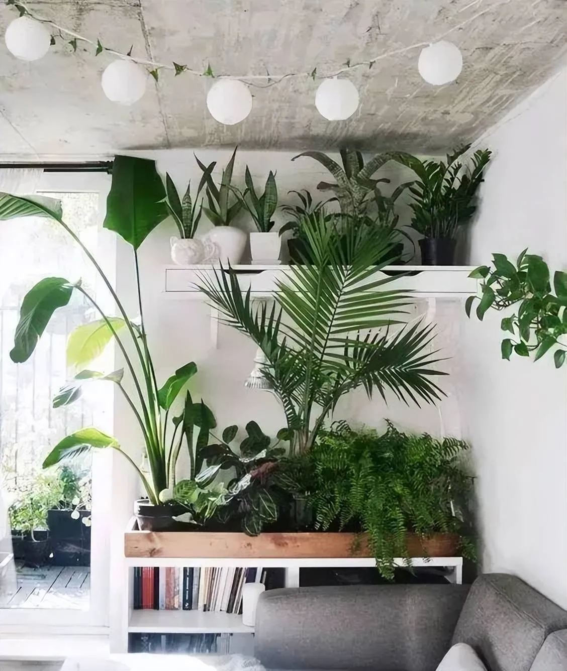 Biến giá sách thành bức tường cây cảnh mini, tiết kiệm diện tích và tăng tính thẩm mỹ cho căn phòng.