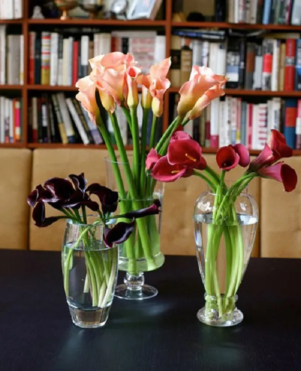 Bình hoa Rum cắm nghệ thuật với sự kết hợp của nhiều màu sắc khác nhau, thể hiện tính ứng dụng cao của loài hoa