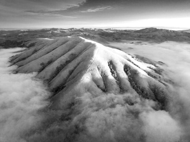 Đất Đồi Núi Nên Trồng Cây Gì: Hướng Dẫn Chi Tiết Để Phát Triển Kinh Tế