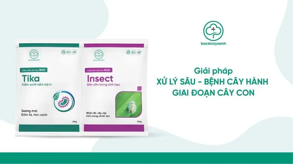 Bộ đôi sản phẩm sinh học hỗ trợ xử lý và phòng trừ sâu bệnh hại quan trọng trong quy trình cách chăm sóc cây hành lá con.