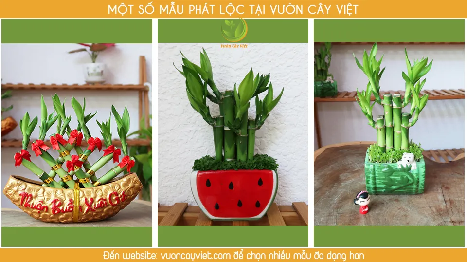 Bộ sưu tập Phát Lộc