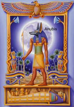 Cẩm Nang Chi Tiết cách chăm sóc cây tùng la hán Chuẩn E-E-A-T