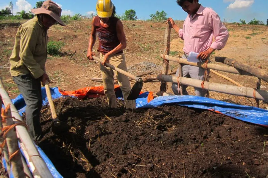 Các bước ủ đất trồng cây cảnh sau khi trộn