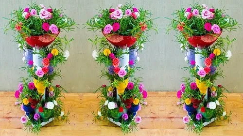 Các chậu hoa Mười Giờ đa sắc đang nở rộ, loại hoa tiết kiệm không gian và dễ trồng cho ban công nhỏ