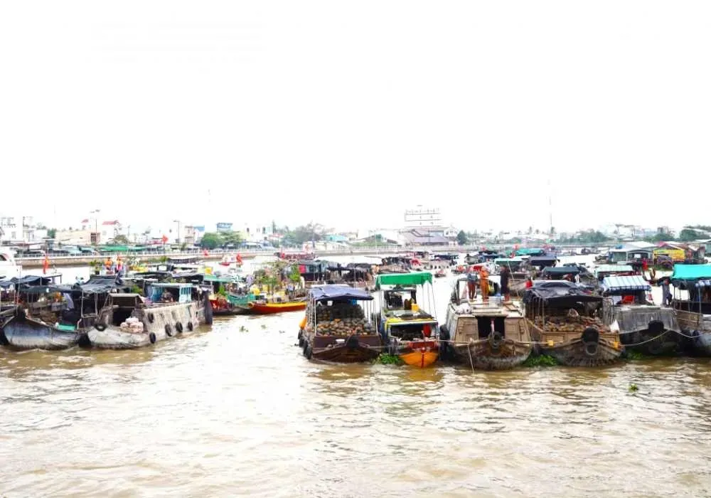 Các công nghệ canh tác hiện đại giúp tối ưu hóa mọi yếu tố môi trường cho cây dâu tây