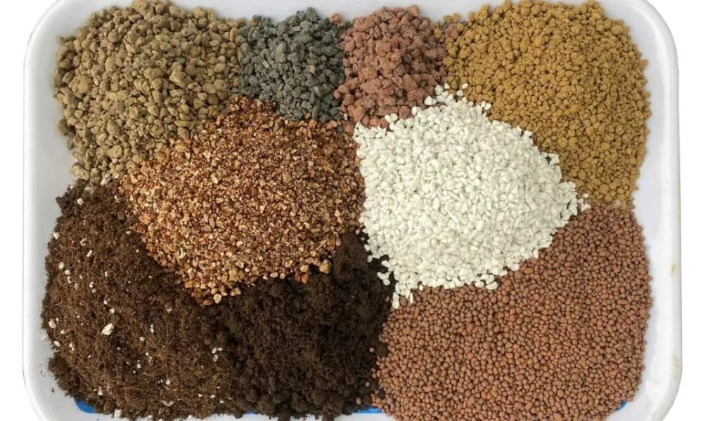 Các công thức phối trộn đất trồng cây sen đá đơn giản và hiệu quả