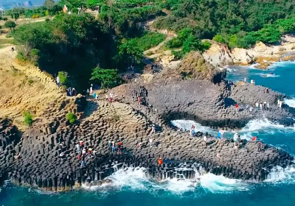 Các công trình nông nghiệp hiện đại, nơi dâu tây được trồng theo quy trình kiểm soát nghiêm ngặt