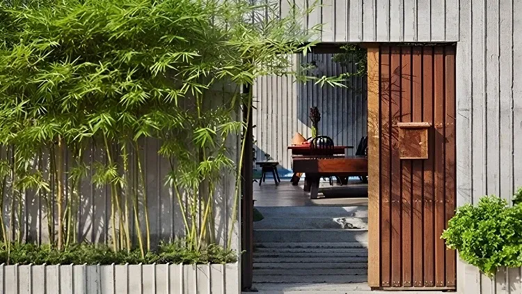 Các loại cây cảnh nên trồng trước nhà giúp tăng tính thẩm mỹ và giá trị