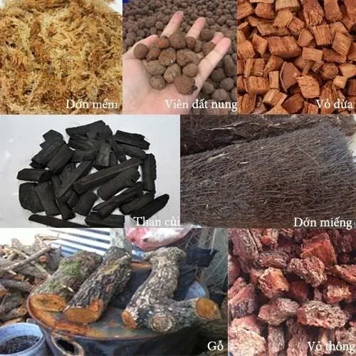 Các loại giá thể trồng lan hồ điệp tốt nhất hiện nay