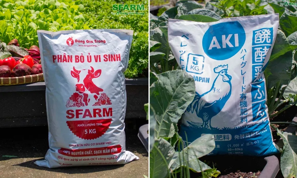 Các loại phân hữu cơ vi sinh và phân trùn quế được sử dụng bón thúc trong quá trình chăm sóc cây cải