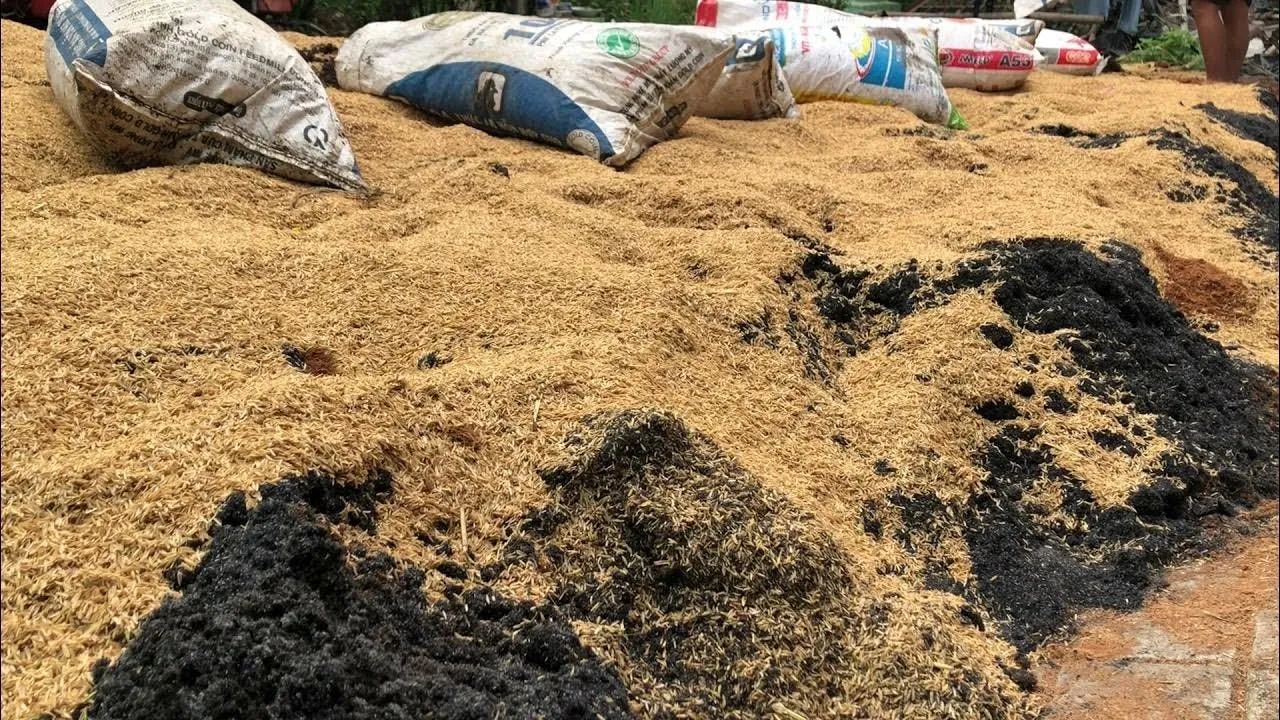 Các nguyên liệu cơ bản cần thiết cho cách trộn đất trồng hoa vạn thọ