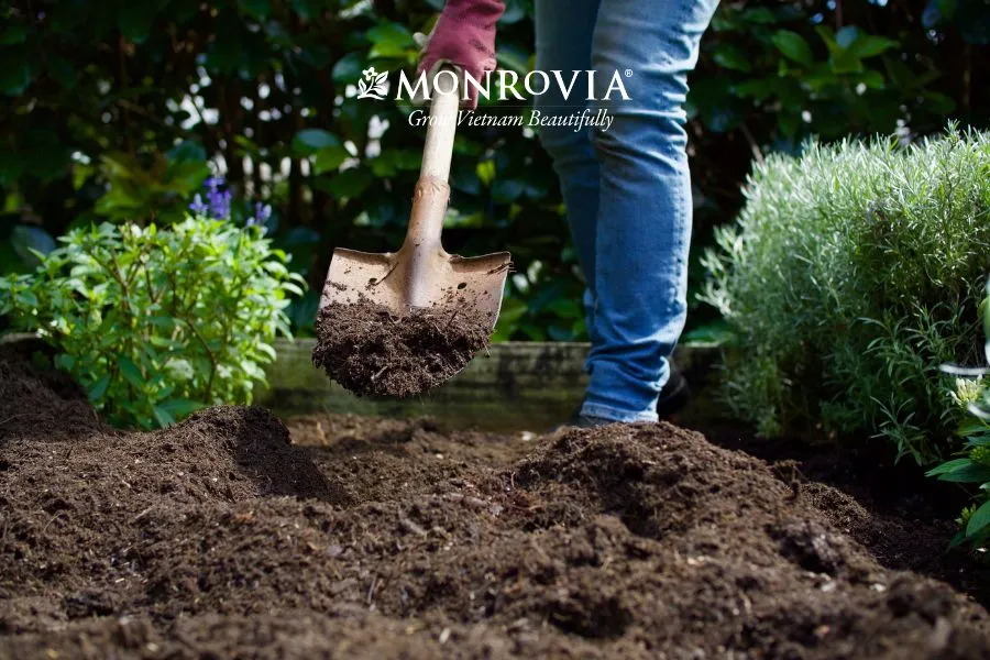 Các nguyên liệu đã được xử lý và trộn đều để làm giá thể trồng hoa hồng