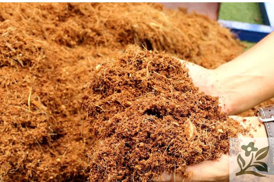 Các thành phần cơ bản của giá thể trồng hoa hồng được trình bày trên một bề mặt