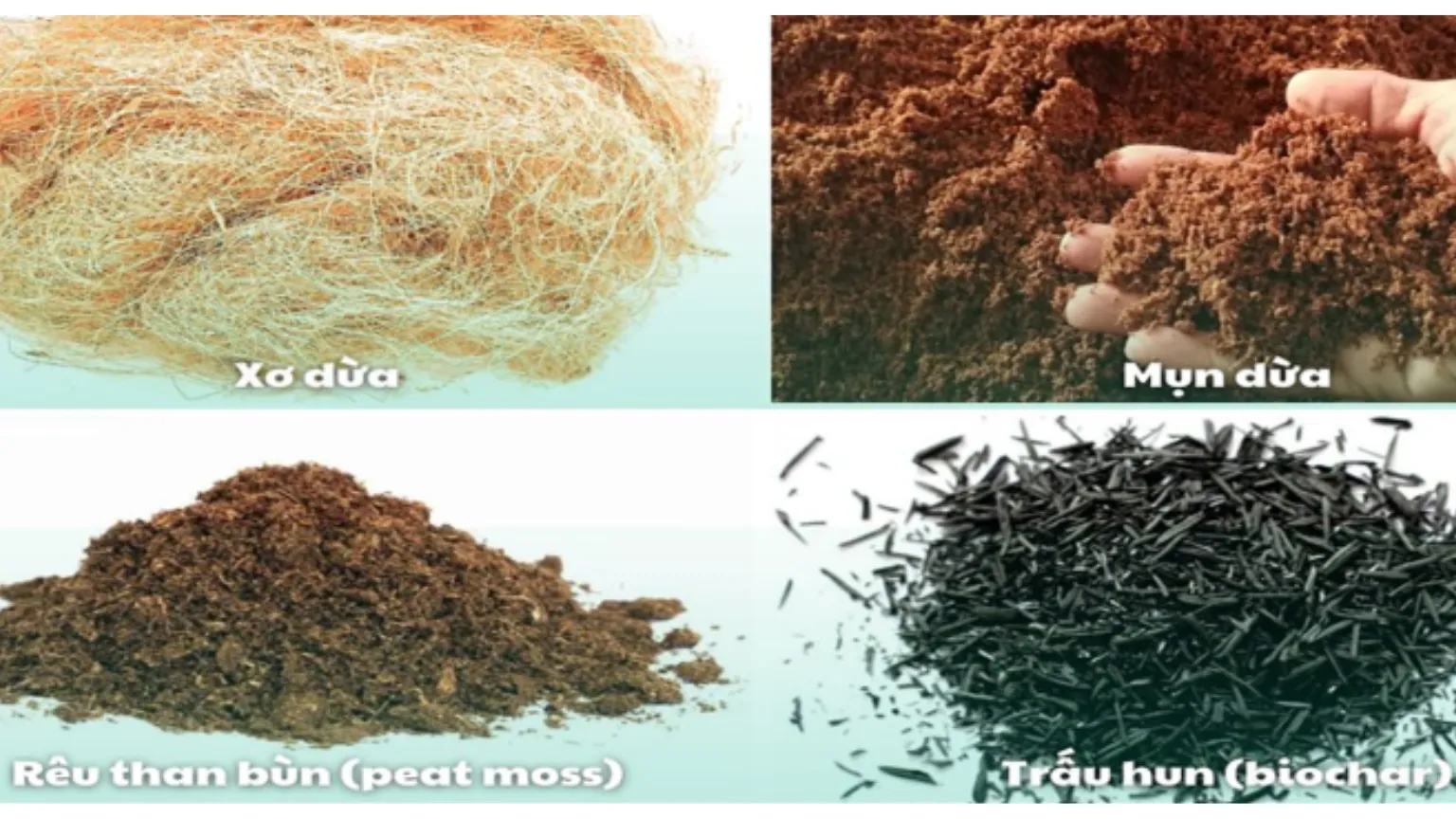 Các thành phần phổ biến trong giá thể trồng cây