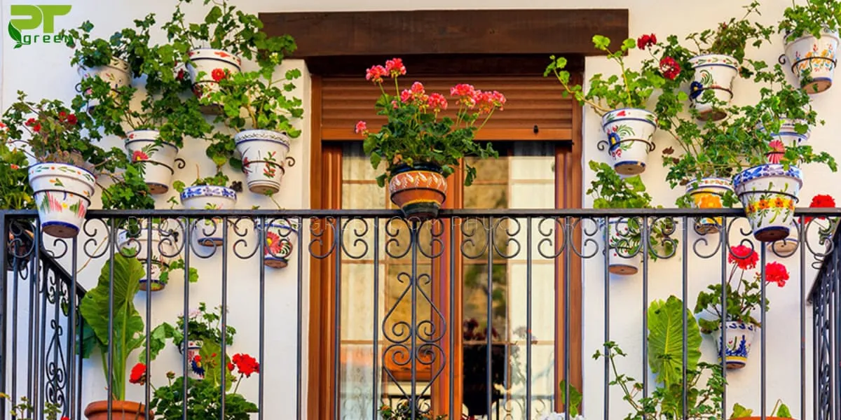 Cách chăm sóc cây trồng ban công