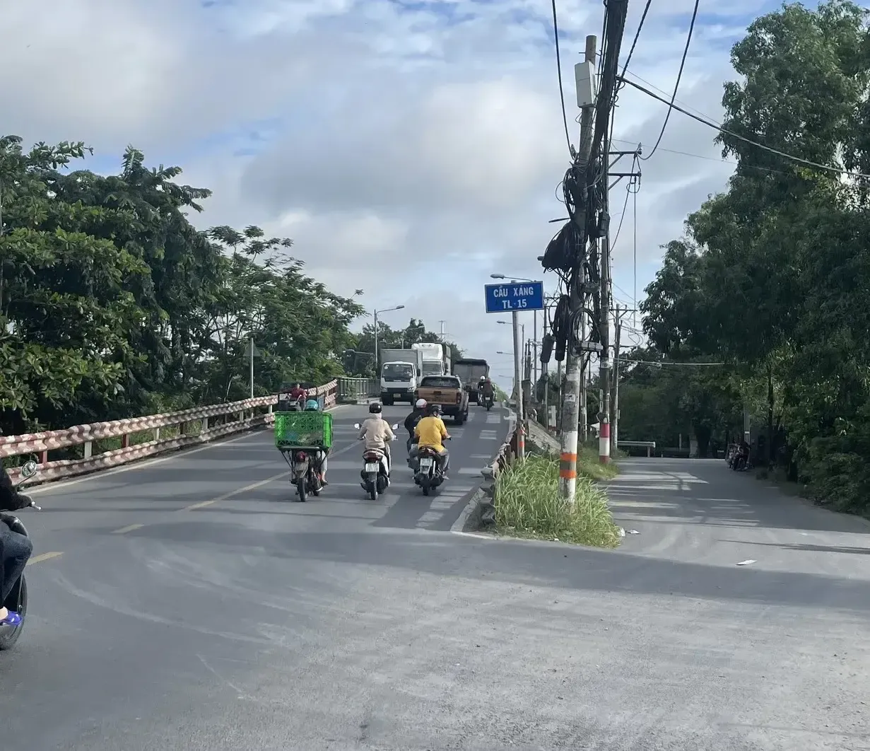 Cách chăm sóc lan nghinh xuân ra hoa đúng tết bằng kỹ thuật điều tiết ánh sáng và nhiệt độ
