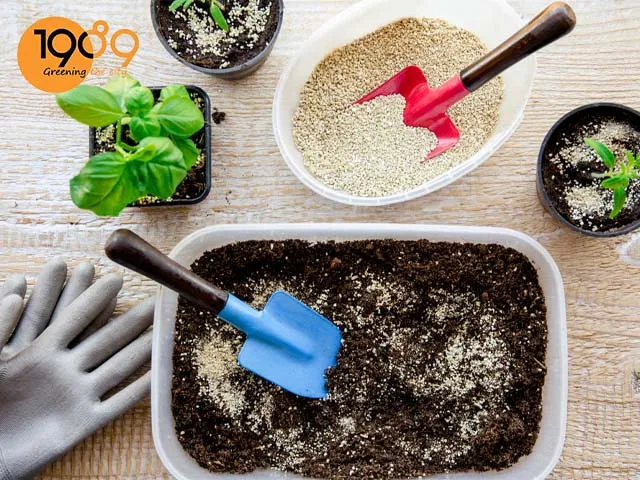 Cách làm đất trồng rau sạch xanh tươi đạt chuẩn hữu cơ