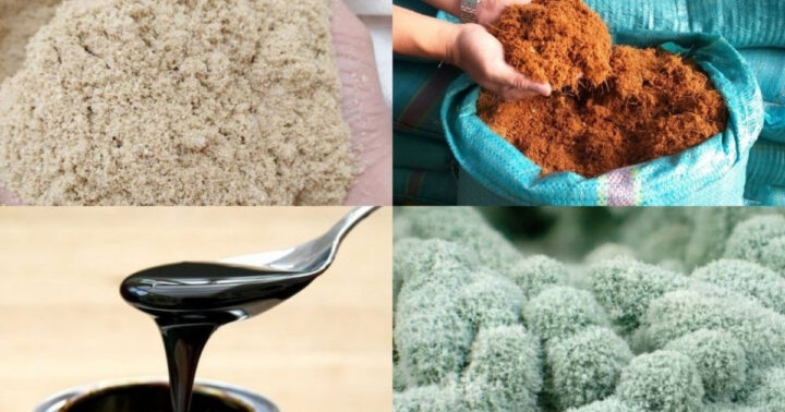 Cách Chăm Cây Hoa Hồng Trong Chậu: Hướng Dẫn Kỹ Thuật Toàn Diện Từ A Đến Z