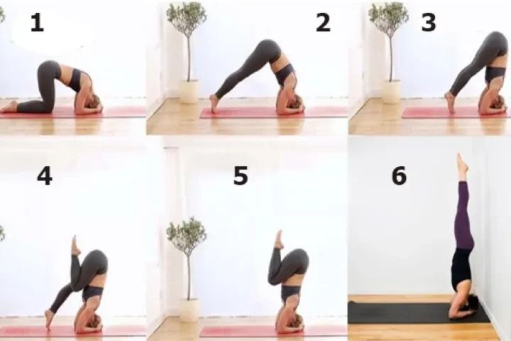 Hướng Dẫn Cách Trồng Cây Chuối Trong Yoga Toàn Diện Và An Toàn