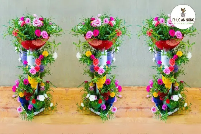 Cách trồng hoa mười giờ trong tháp chậu đẹp sáng tạo