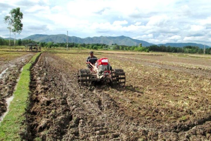 Cách Xử Lý Đất Trước Khi Trồng Cây Đạt Chuẩn Chuyên Gia Cho Mọi Loại Cây Trồng