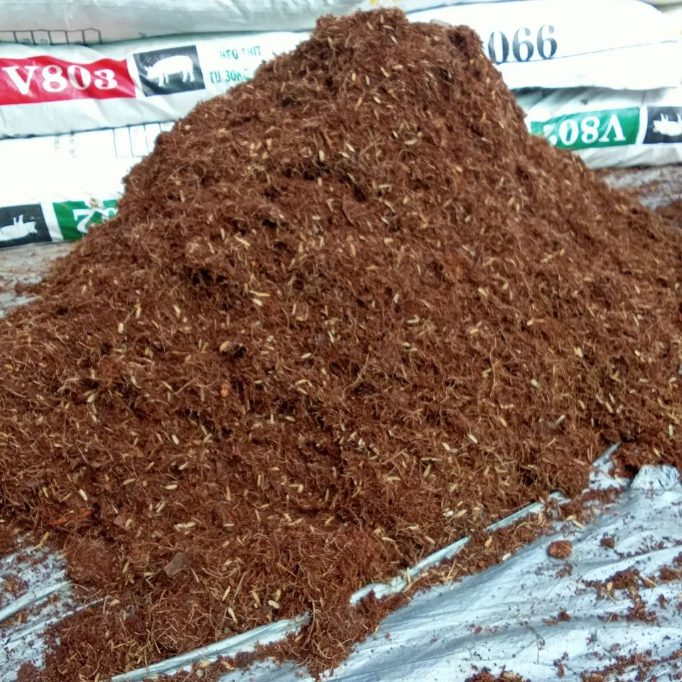 Cần bón phân cho cây ánh dương 1 lần cách 2 tháng để duy trì màu sắc và sức sống