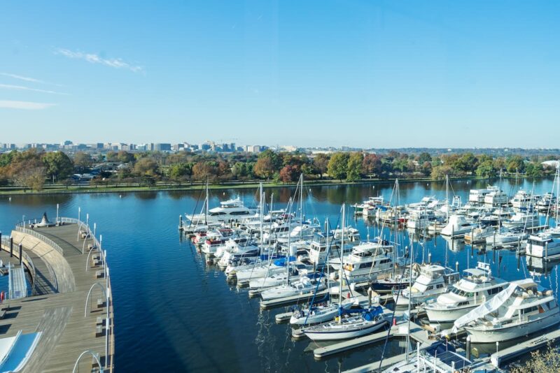 Những Loại Cây Nên Trồng Trong Nhà Bếp: 25 Gợi Ý Tối Ưu Hóa Không Gian Xanh